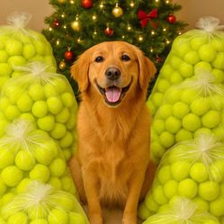 Christmas Presents For Dogs! Tennis Balls 