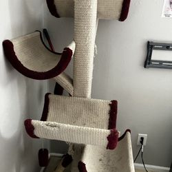 Cat Tree 