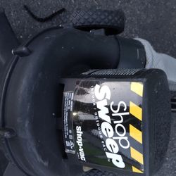 Shop Sweeo Indoor Outdoor Vacuum