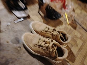 Puma size 8