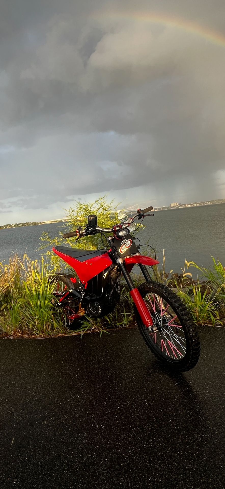 SURRON LIGHT BEE 2024