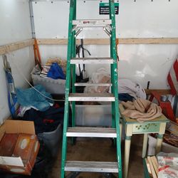 Werner 6ft Type 2 Fiberglass Ladder