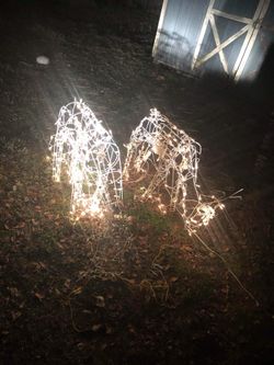 Reindeers