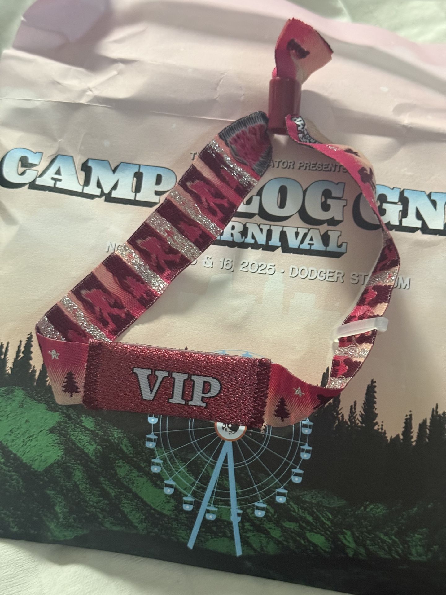 Camp Flog Gnaw 2025 VIP