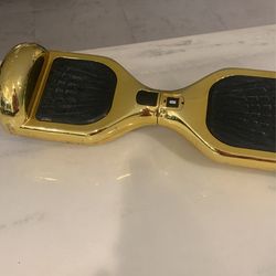 Segway Still Works Excellent