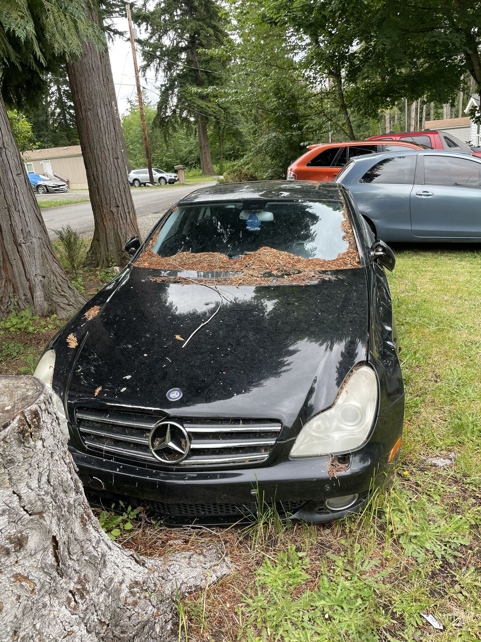 2006 Mercedes-Benz CLS-Class