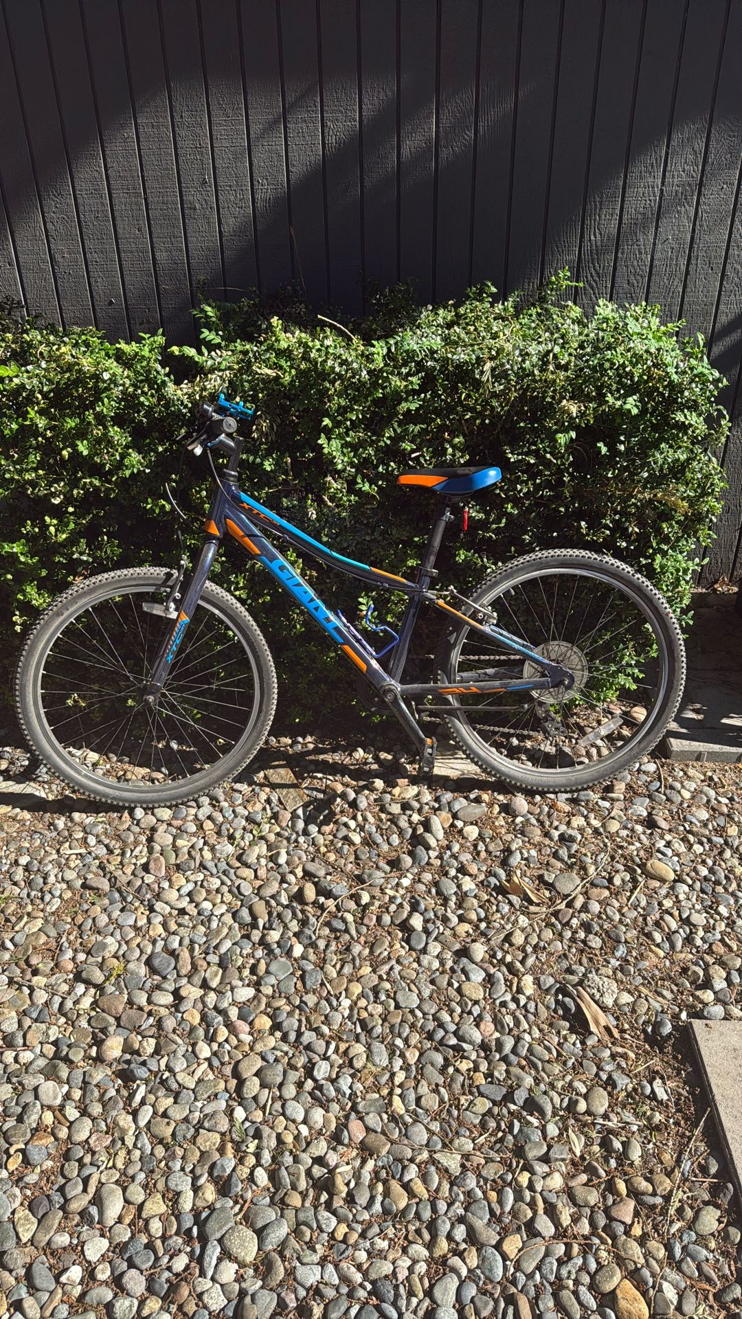 Giant XTC JR