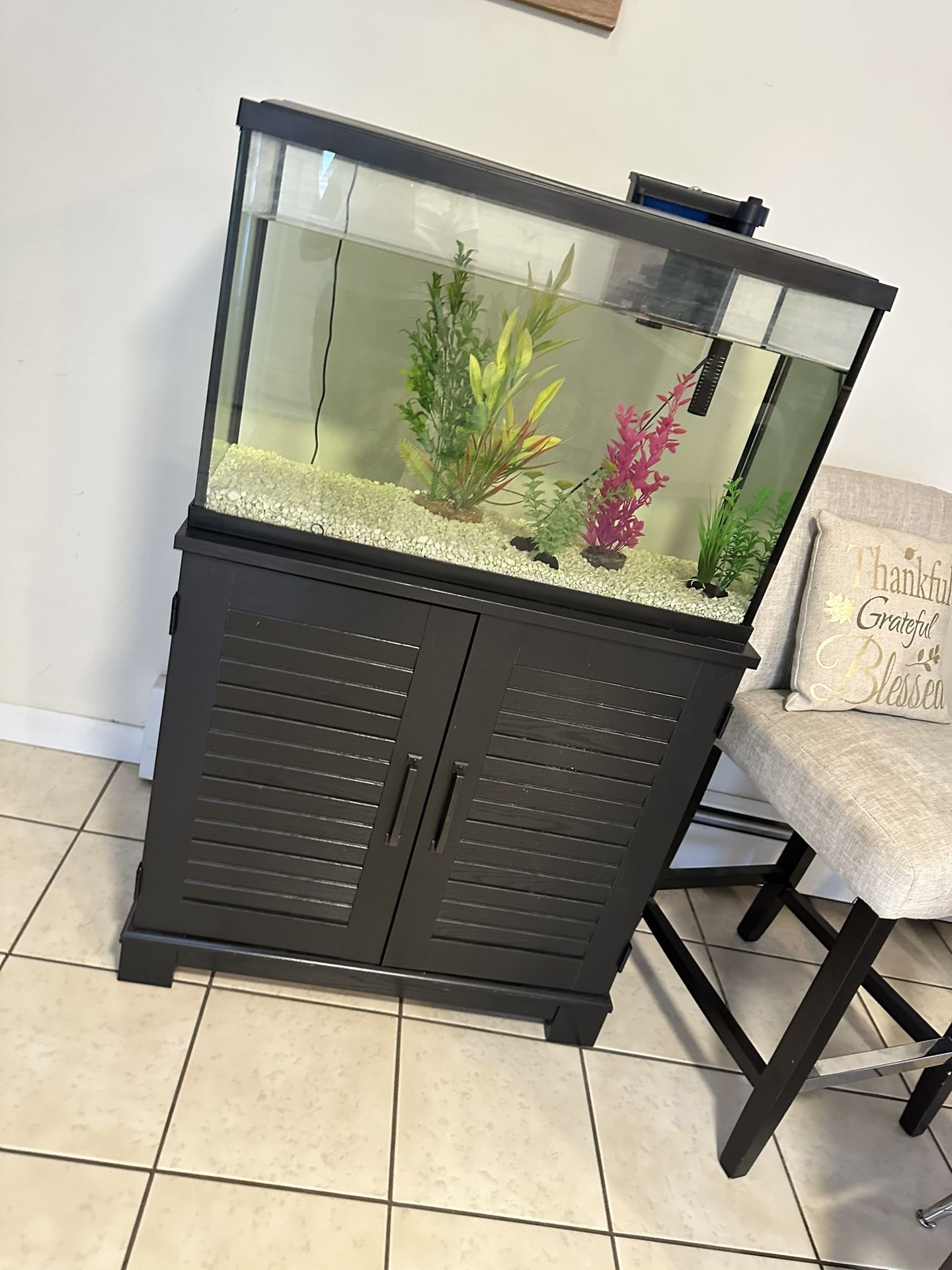 37 Gallon Fish Tank 