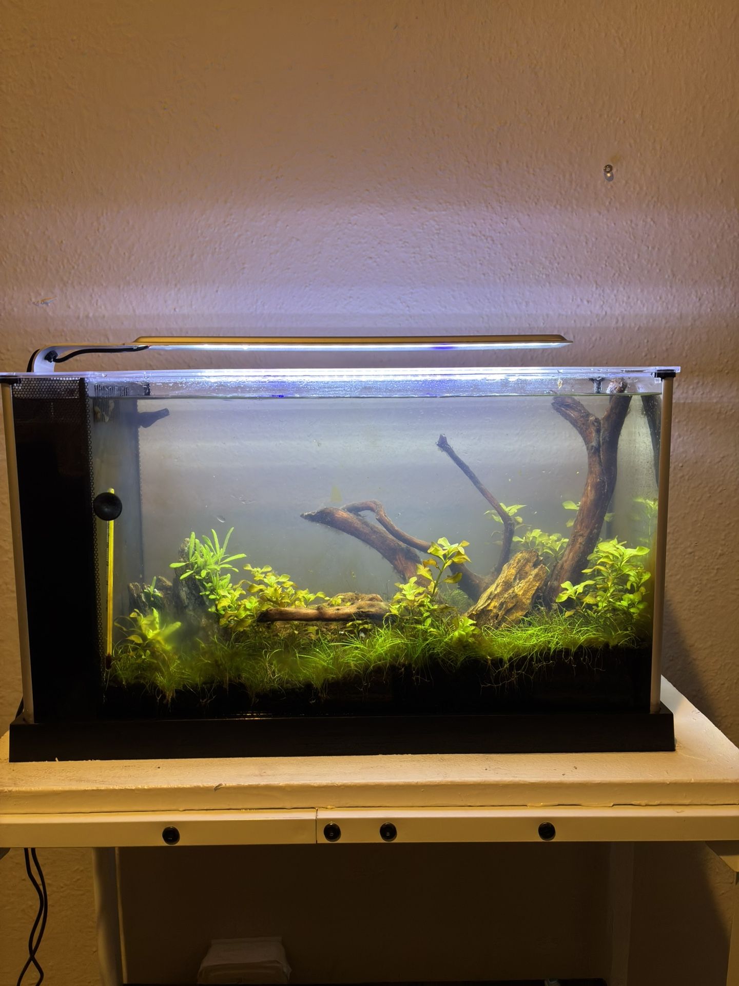 Fishtank Fluval Space 5 Gallons Freshwater