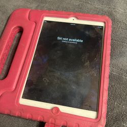 Mini iPad 