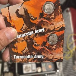 1/500 Oz Platinum Terra Cotta Army