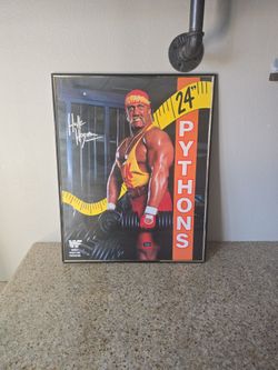 Hulk Hogan Vintage Framed Poster 24" Pythons 