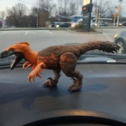 Utah RAPTOR