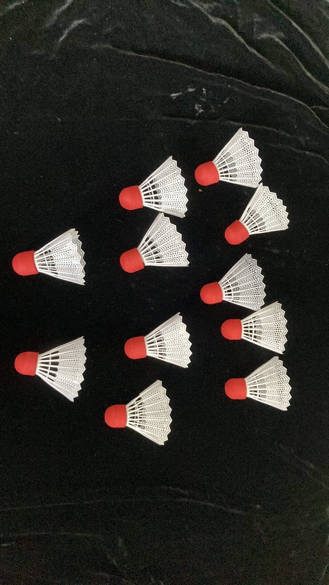 11 New Shuttlecocks All For $2