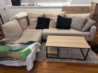 Couch and Throw Pillows