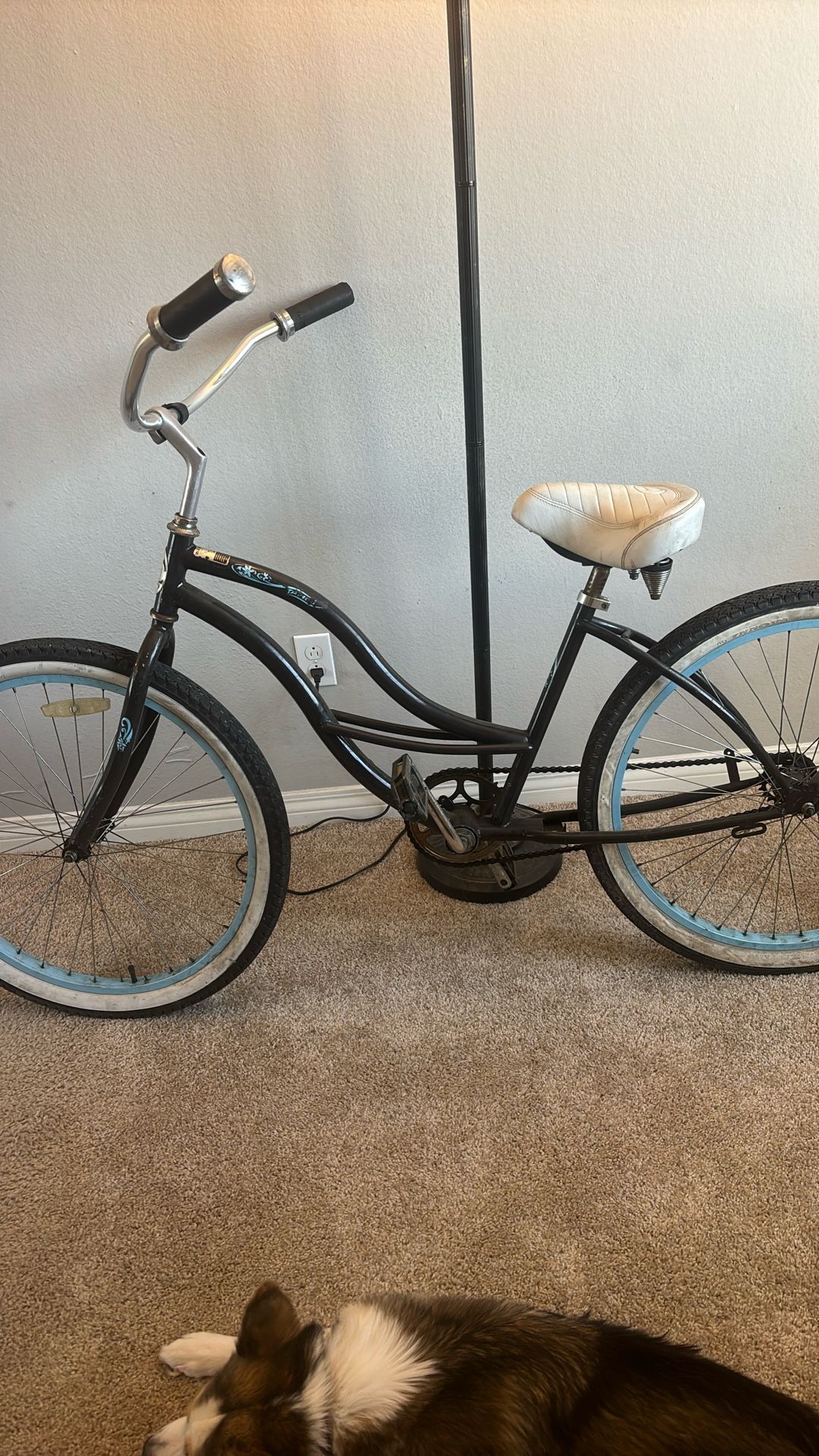 Beach cruiser