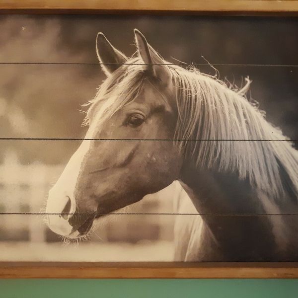 Wooden Horse Wall Picture for Sale in Conway, SC OfferUp