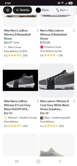LeBron Witness VIII