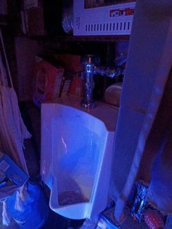 Kohler mens urinal