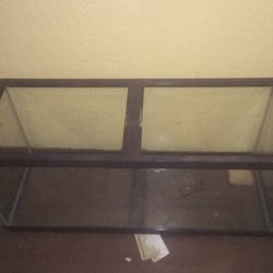 Fish Tank 