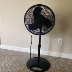 New Fan 
