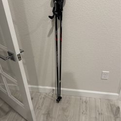 Salomon Zenith 5 Ski Pole