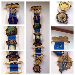 Gold pins