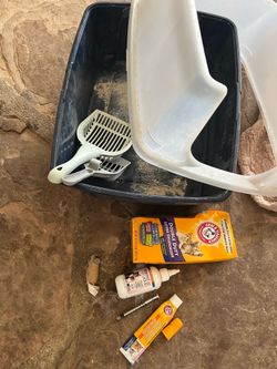 Cat items