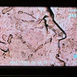 1983 Double Die Obverse Penny