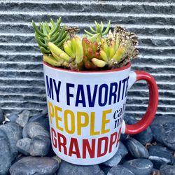 SUCCULENT ARRANGEMENT
