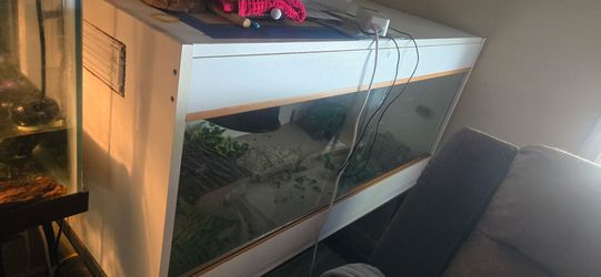 Large Animal Terrarium + Stand