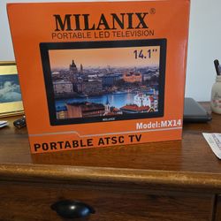 Portable TV 