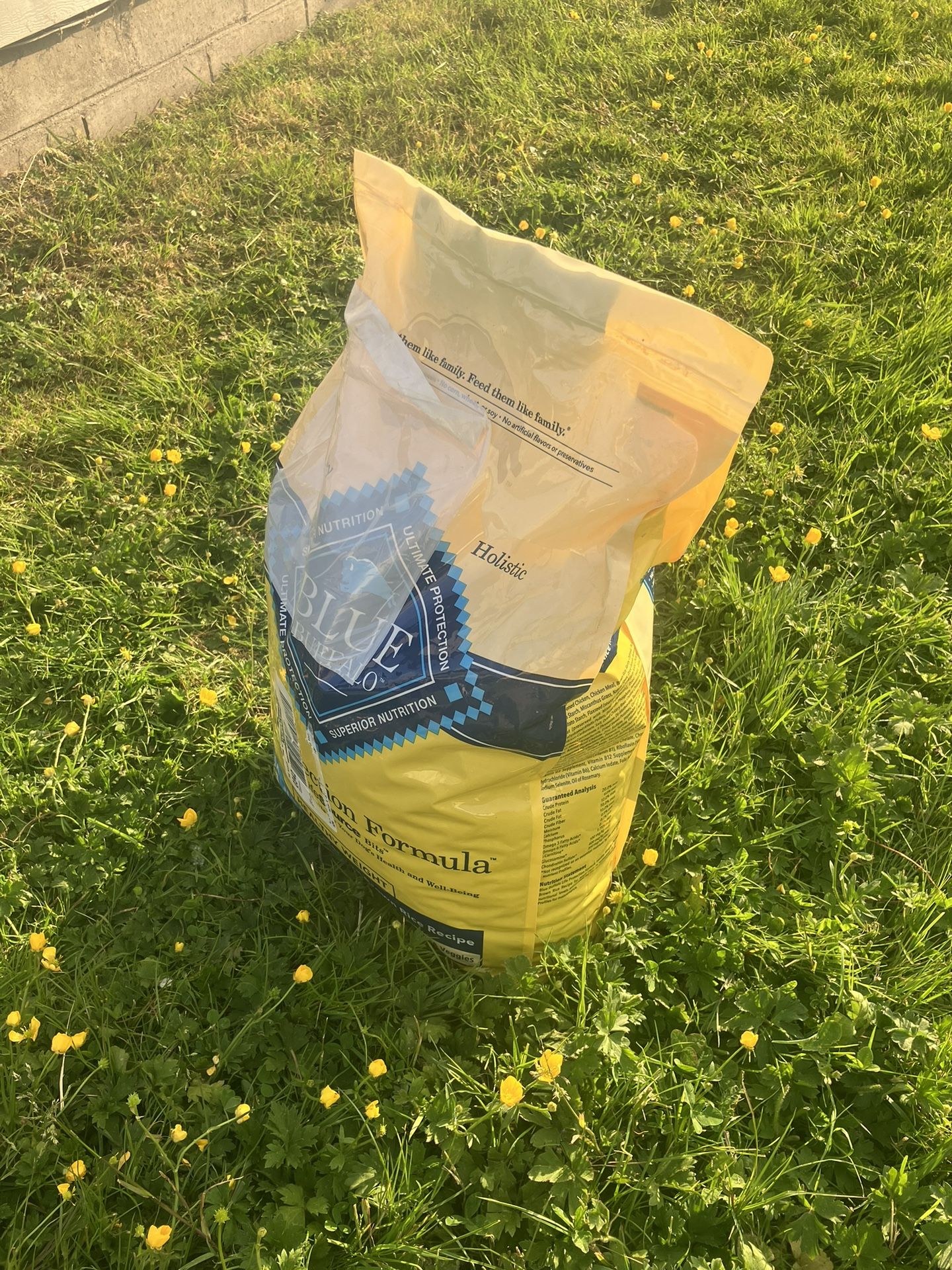 Blue Buffalo Adult Dog Food