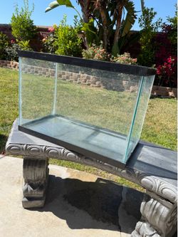 Glass Aquarium Tank, 20 Gallon