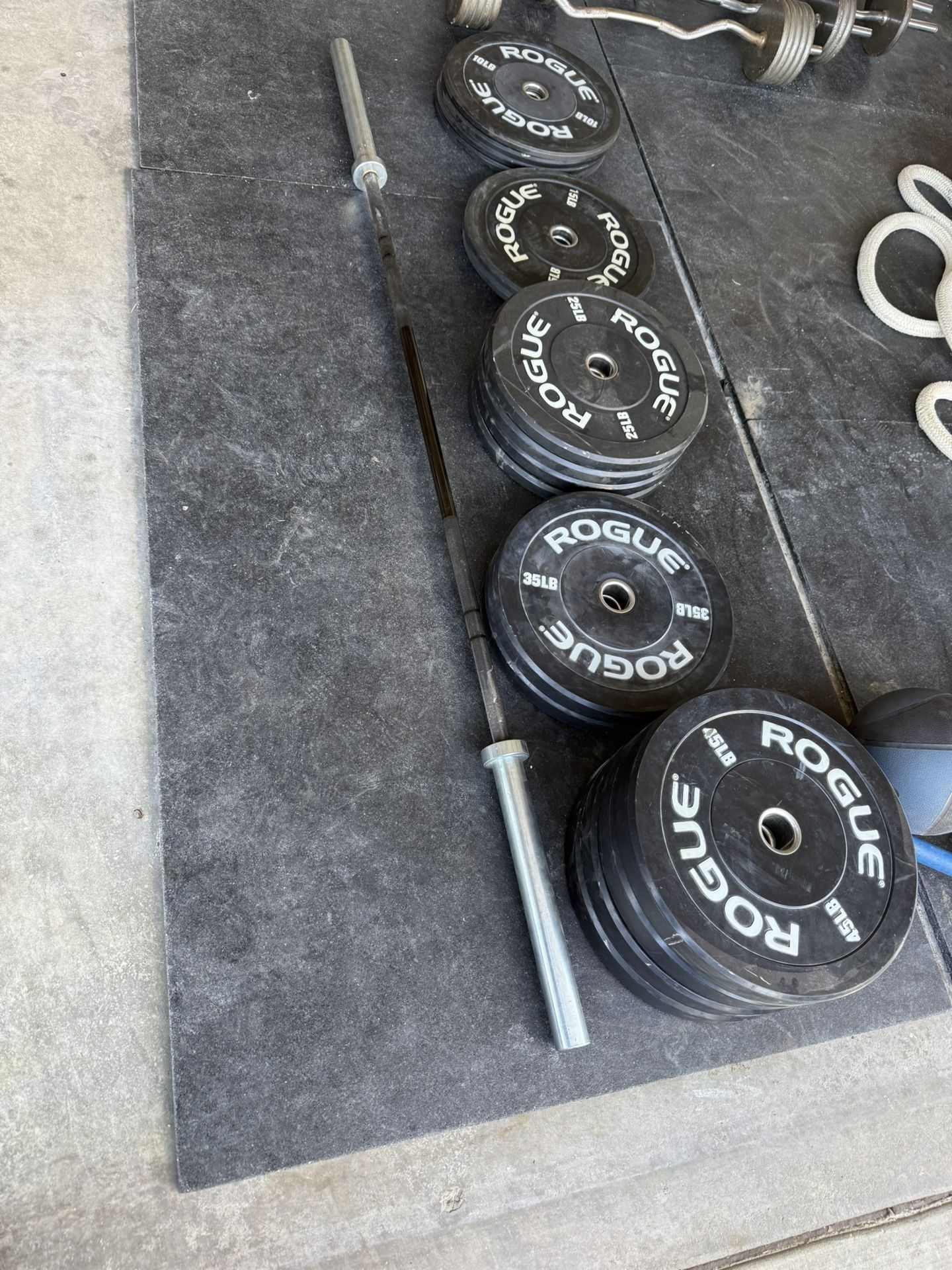 ROGUE Echo Bumped Plates V2 420 Lbs +Ohio bar