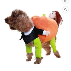Dog Costume 