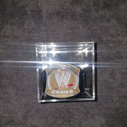 WWE slapbands Title 