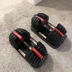 Bowflex dumbbells 