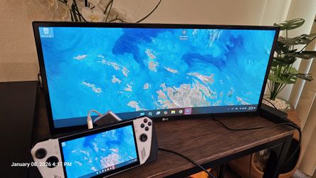 LG Monitor