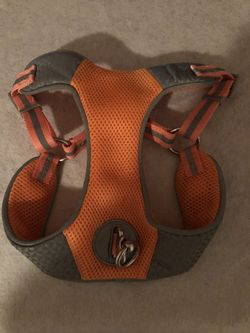 On Sale! Brand New Adjustable Dog Harness