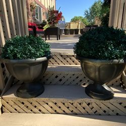 Very  Gorgeous  2 Pots  Only  Plastic