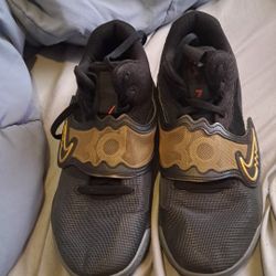 Kd Trey 5