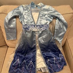 Frozen Halloween Costume 