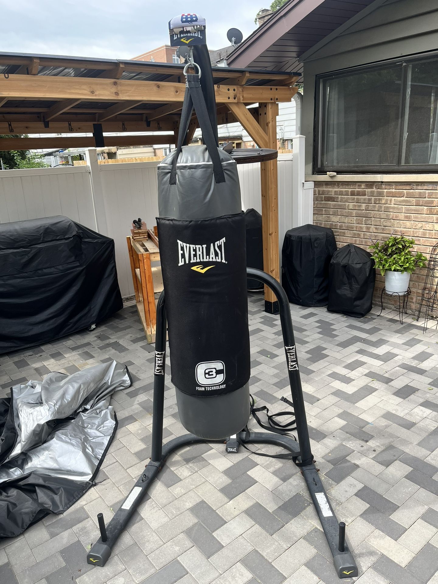 Everlast Heavy bag and Sped bag Combo.