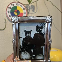 MCM frame • Cat Photo• Spooky 