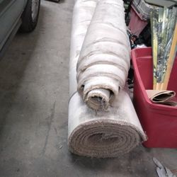 Carpet For House Or Office