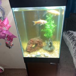 Fish Tank / Stand$100