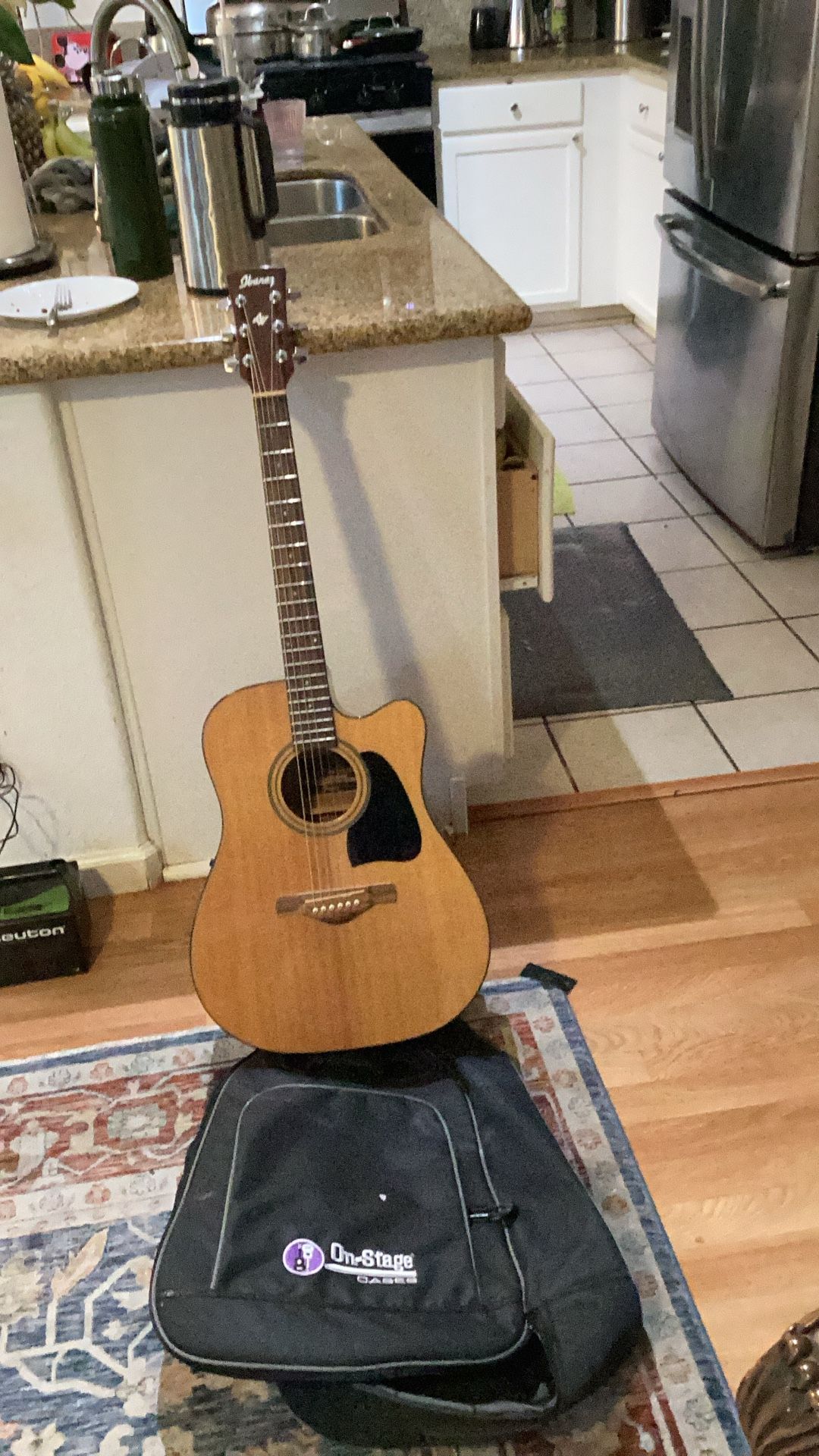IBNEZ acoustic electric guitar brand new never been used with nice case beautiful sound