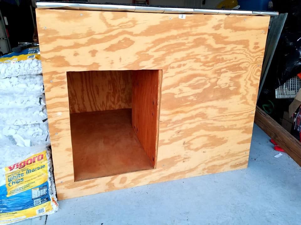 Dog House (Home Made)