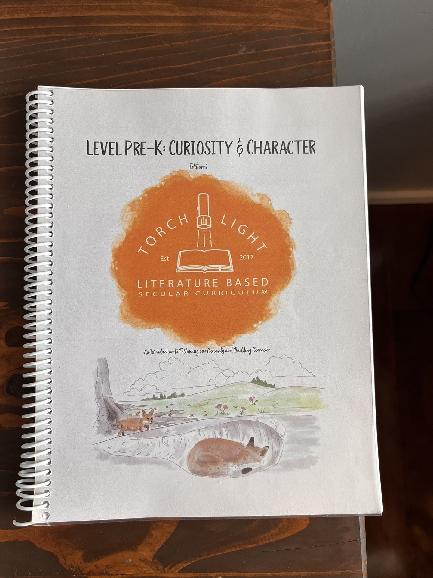 Torchlight Level Pre K Curriculum